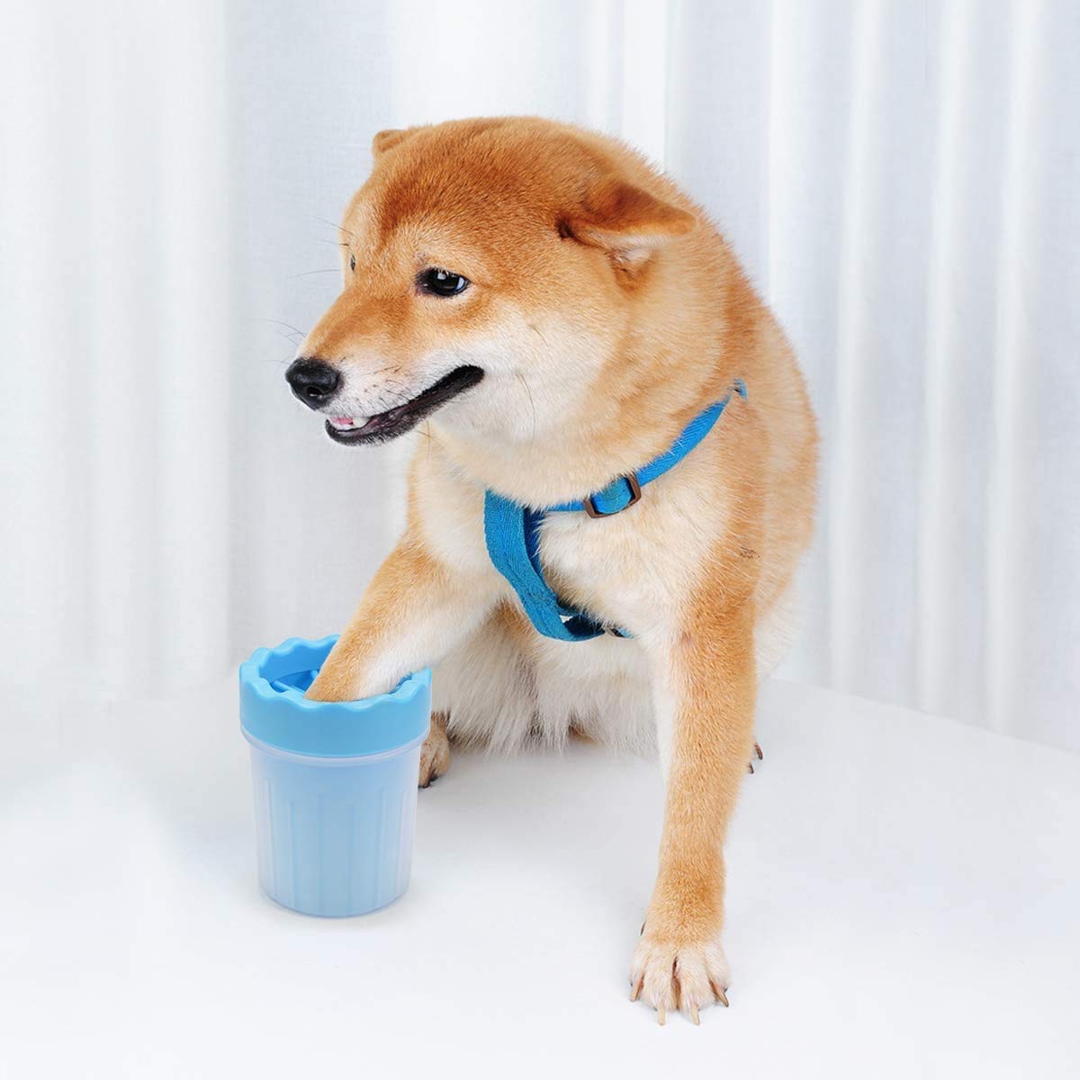 Dog Paw cleaner