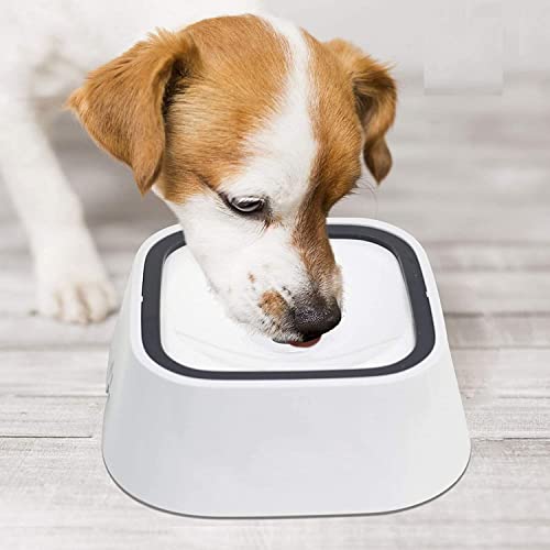 Anti spill bowl