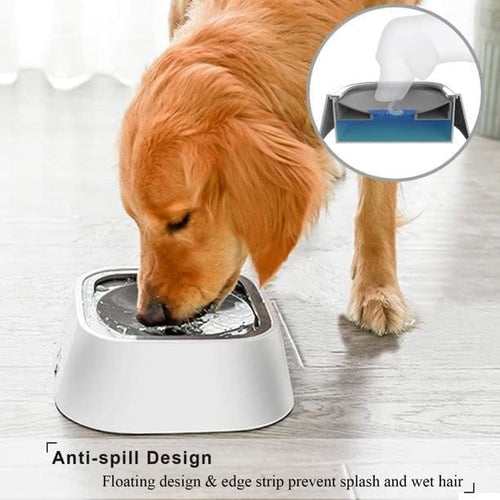 Anti spill bowl