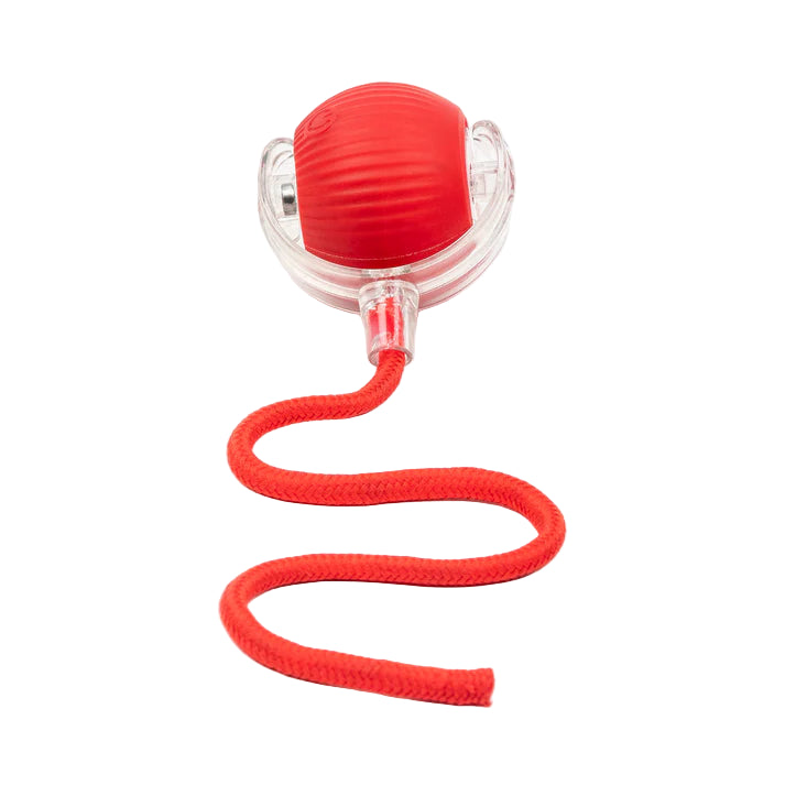 Automatic Pet Ball