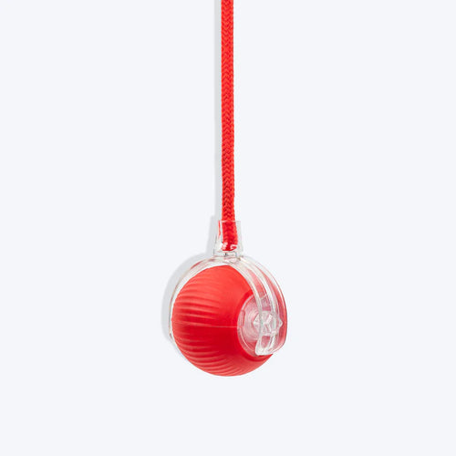Automatic Pet Ball