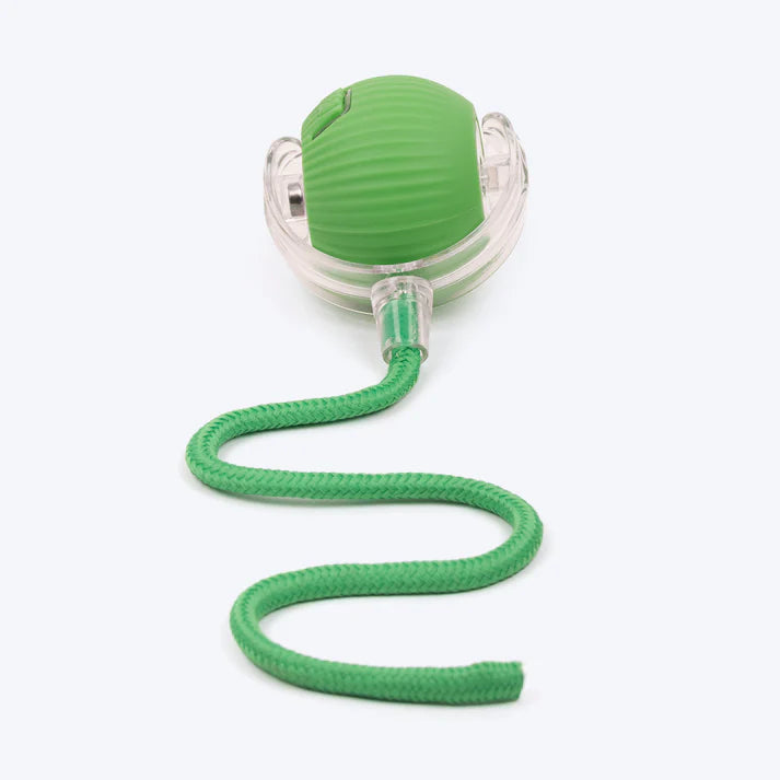 Automatic Pet Ball